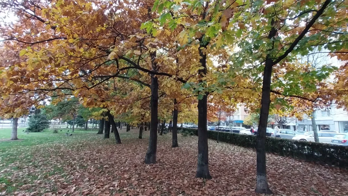 Топ синоптичка на НИМХ с кошмарна прогноза за есента