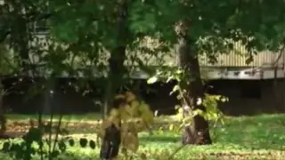 Голяма промяна на лобното място на жертвата на психопата от "Младост" 