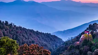 Такава аномалия с времето в България не е имало! СНИМКИ 