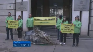 Огромна опасност надвисна над Черно море, превръща се в сметище и умира СНИМКИ