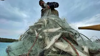 Истинско чудо в Черно море, рибари напълниха хиляди каси за 1 нощ 