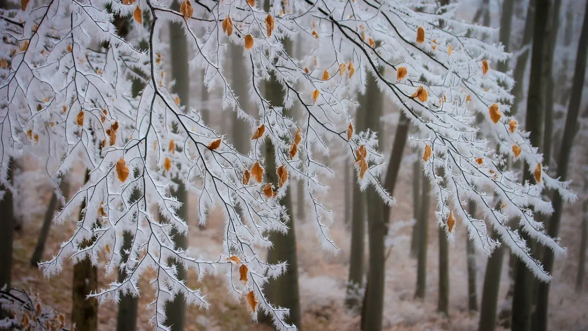 Meteo Balkans алармира: Температурите падат до нулата!