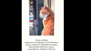 Центърът на София загуби една от емблемите си СНИМКА 