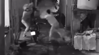 Млад мъж реши да открадне цветя за любимата си, но му се случи случка ВИДЕО 18+