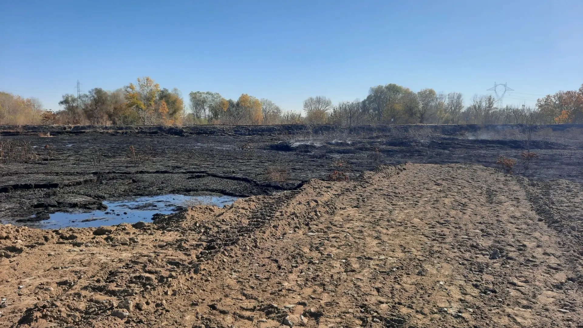 След пожарищата в Пловдивско - ето какво дишат в градовете и селата СНИМКИ