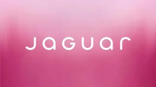 Безстрашен, излъчващ ентусиазъм, увлекателен - това е Jaguar, преобразен 