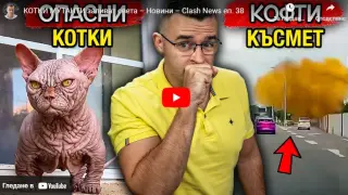 Котки мутанти заливат света, никога не сте виждали нещо подобно ВИДЕО