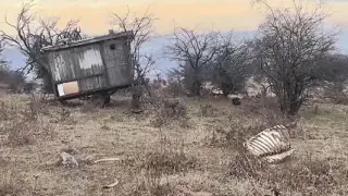 Труповете в "Джендема" се множат, проговори фермерът Тодор ВИДЕО