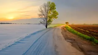 Зима ли? В тези 2 града у нас живакът удари 16°С
