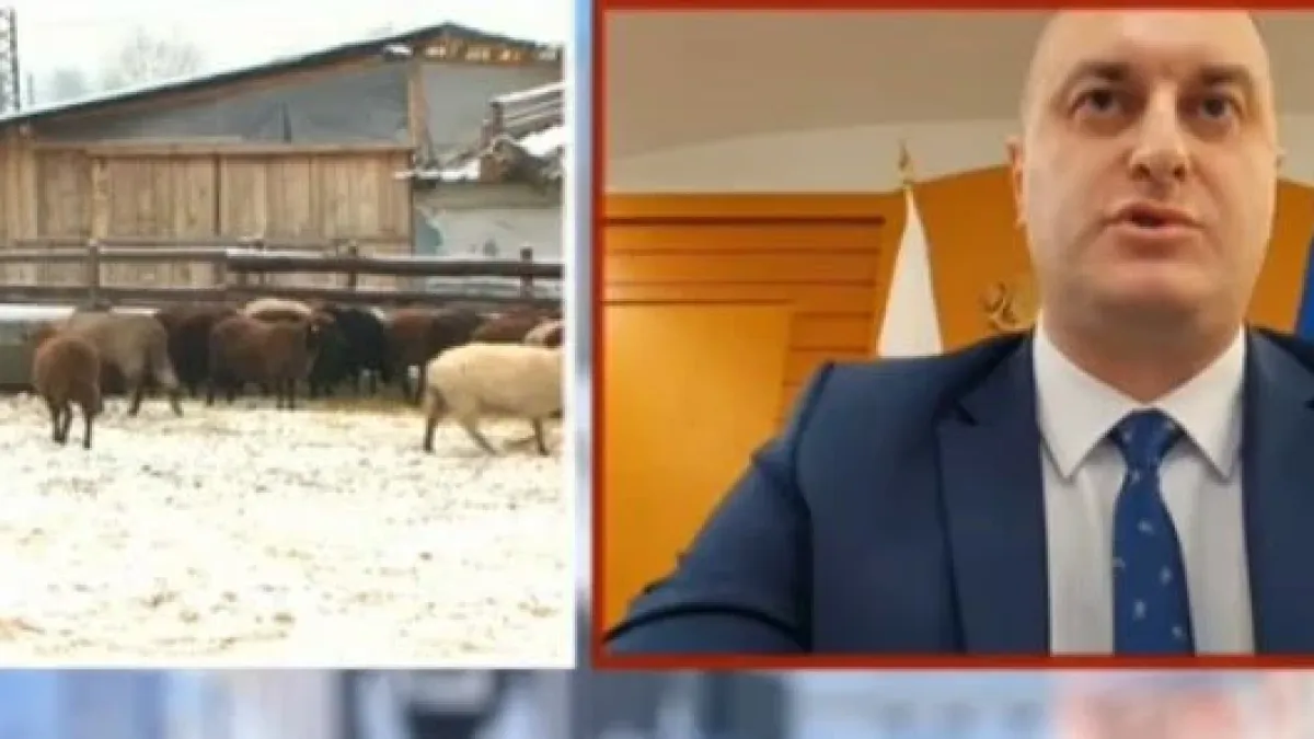 Министерството на земеделието: Резултатите от пробите на стада край Велинград са 100% достоверни