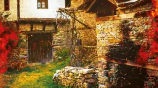 "Въглени" от Веселина Кожухарова