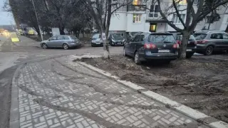 Вари ни, печи ни, това сме си! Свинщина в столичен квартал  СНИМКИ