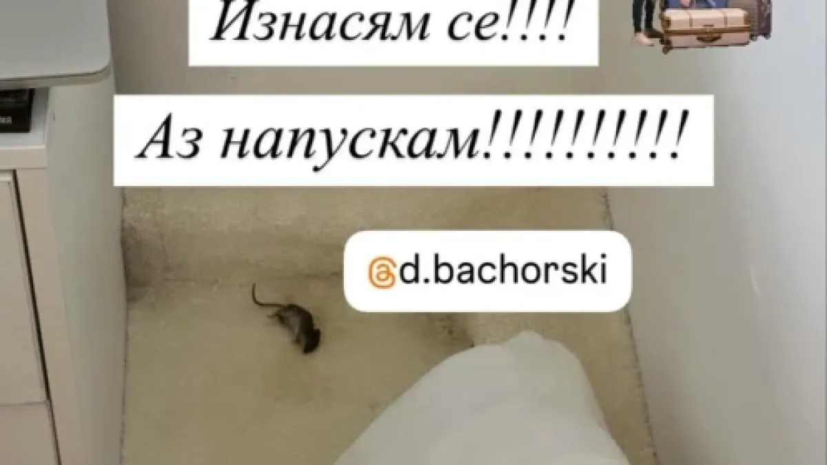 Бременната жена на Бачорски го заряза, изнесе се от дома им в ужас! ВИДЕО