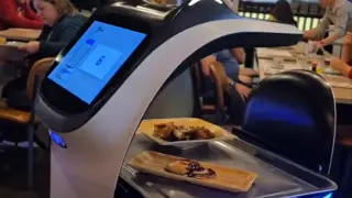 Нищо няма да е същото! На морето ще ни сервират роботи ВИДЕО