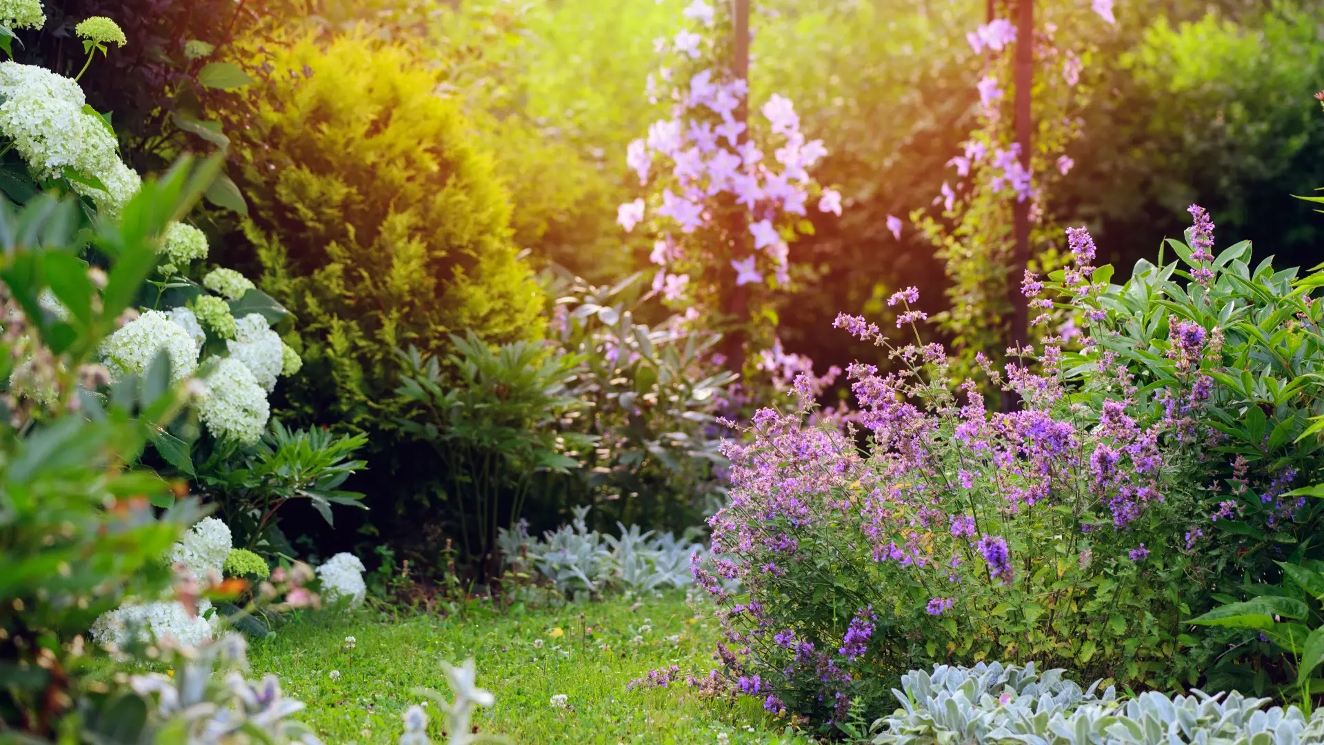 Чувствате се изтощени и без фокус? Природата има решение