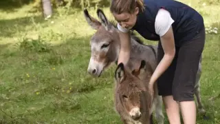 Лидер по скъпотия: Броим няколко хилядарки за кило от това сирене! СНИМКИ 