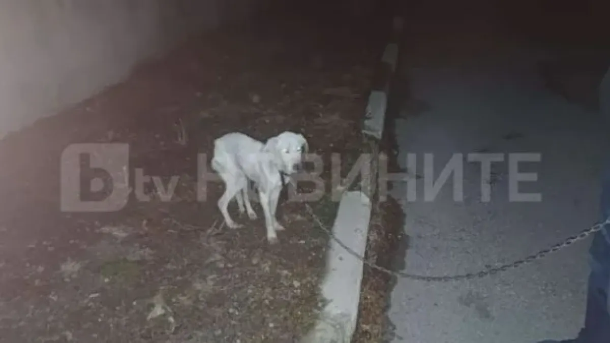 Извънредно! Първа следа за изчезналия 13-г. Ники, откриха... СНИМКА