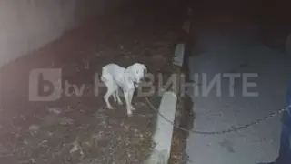 Извънредно! Първа следа за изчезналия 13-г. Ники, откриха... СНИМКА