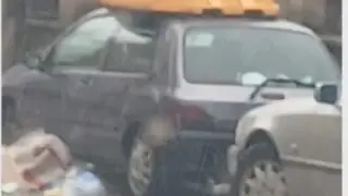 Такова нещо не се вижда всеки ден: Върху кола в Пловдивско кацна... СНИМКА