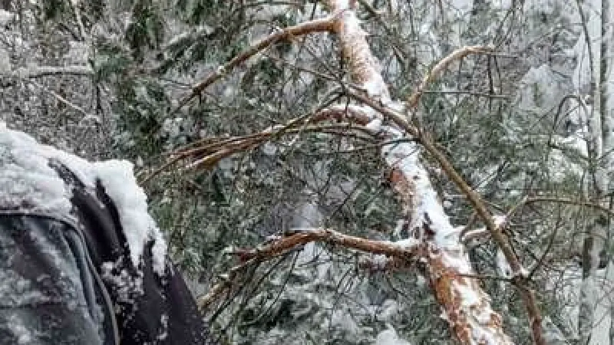 Последни новини за всички без ток, от ел. дружеството обявиха, че...