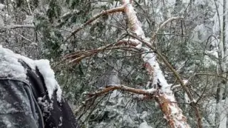Последни новини за всички без ток, от ел. дружеството обявиха, че...