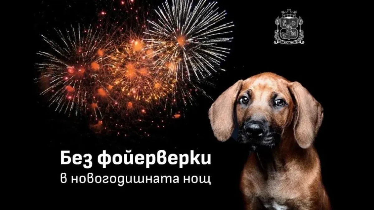 Софиянци, не си и помисляйте да правите това на НГ, за да не си изпатите жестоко