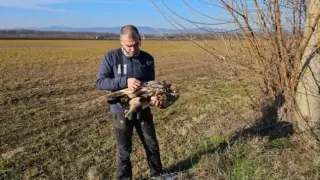 Смърт в Горнотракийската низина: Откриха трупа на царски... СНИМКА 18+