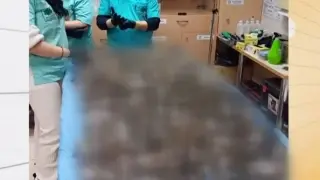 Жертвите на новогодишната заря в Копривщица вече са над 1000 ВИДЕО