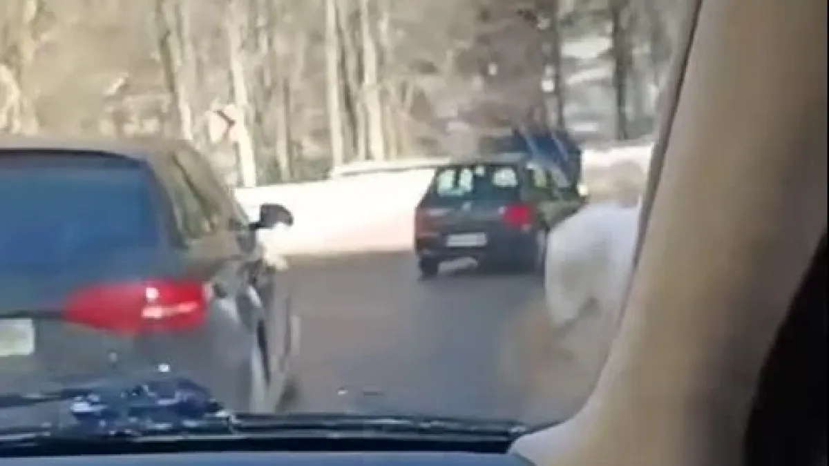 Шофьор шокира всички на "Петрохан", ето как премина покрай ченгетата ВИДЕО