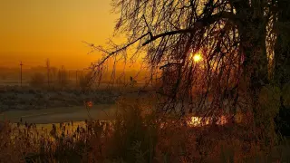 Европа се затопля най-бързо в света, алармира нов доклад с мрачна прогноза