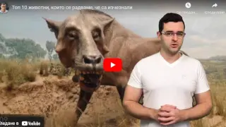 Не бихте искали да срещате тези животни: The Clashers ви ги показва ВИДЕО