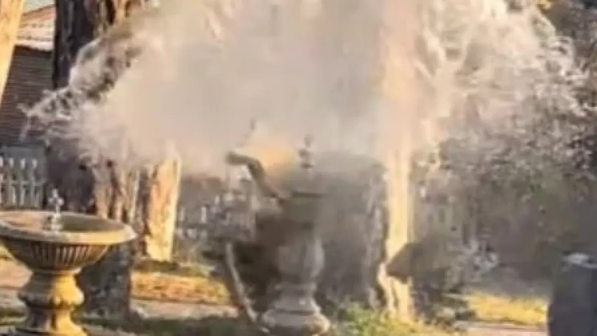 Сополанковци взривиха Велинград с безобразна изцепка ВИДЕО 