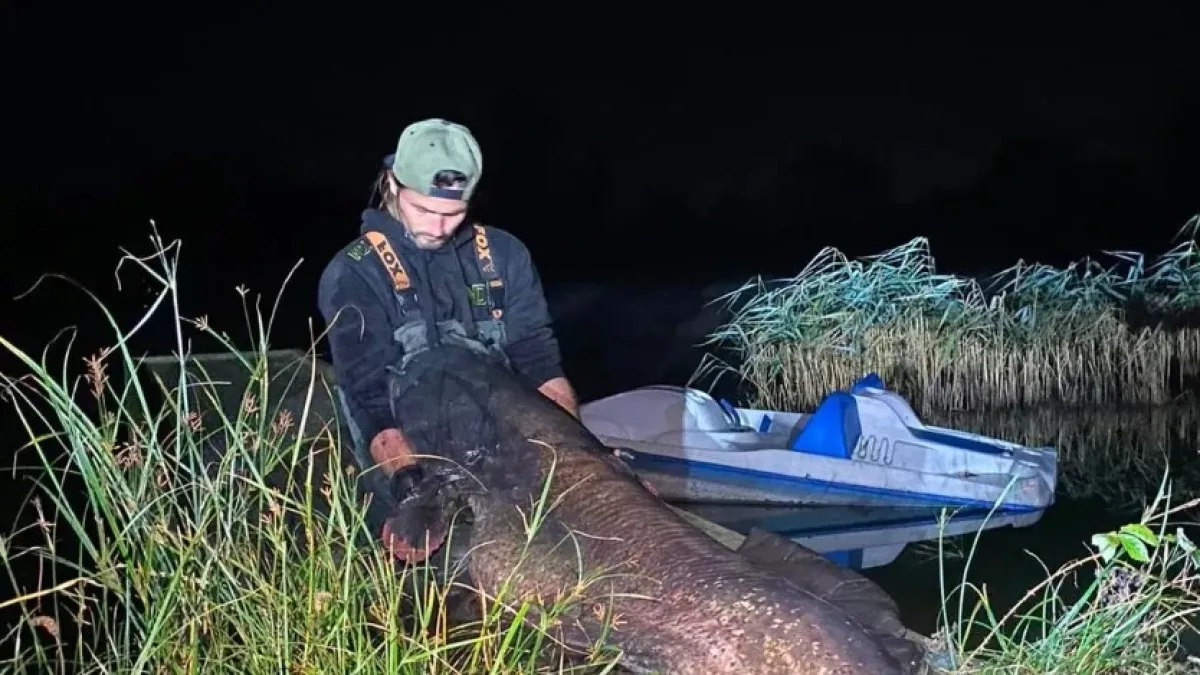 Съпрузи хванаха сом с тегло 68 кг, изваждали го час и половина от водата СНИМКА
