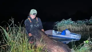 Съпрузи хванаха сом с тегло 68 кг, изваждали го час и половина от водата СНИМКА
