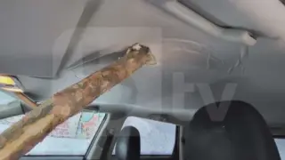 Момчето, пронизано от клон на пътя на Витоша, проговори! СНИМКИ