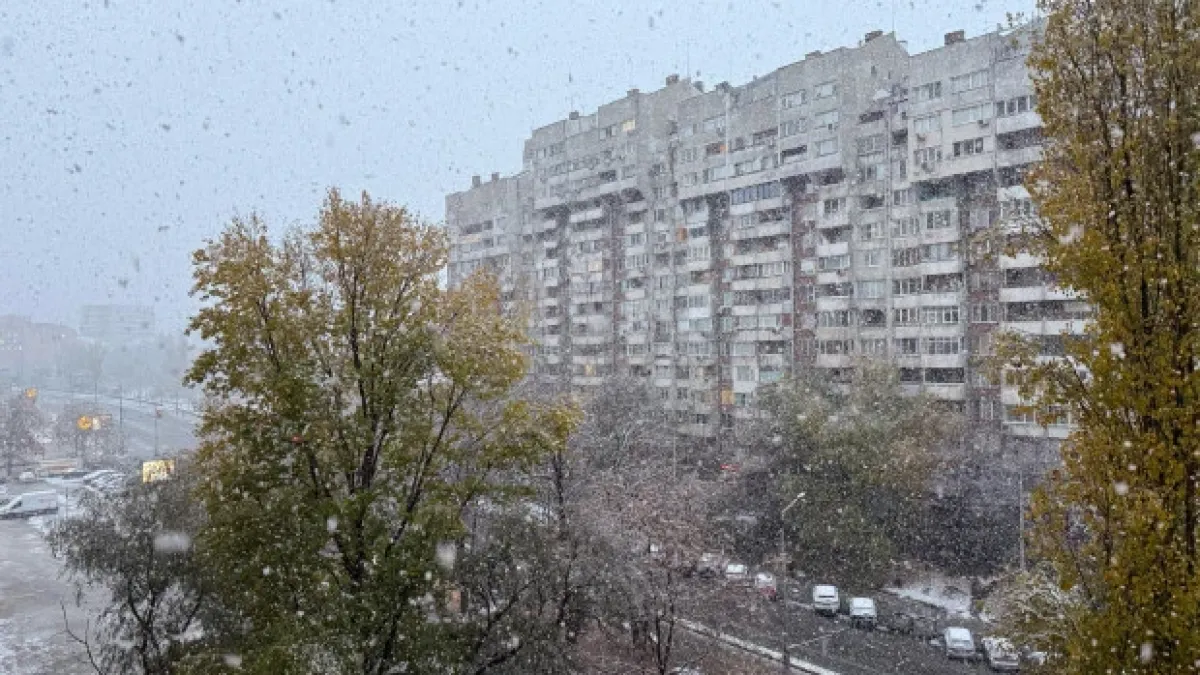 Не е за вярване какво се случва с цените на панелките