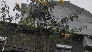 Такова нещо не се беше случвало в Бургас насред зима СНИМКИ