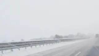 Кокичетата успяват, машините не могат! А по Магистралата на смъртта пъплят със 70 км/ч СНИМКА