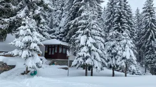 На това място у нас се събудиха с -12 градуса