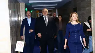 Диана Дамянова посочи как Борисов надигра ПП-ДБ и кой от спряганите за министри става за всичко