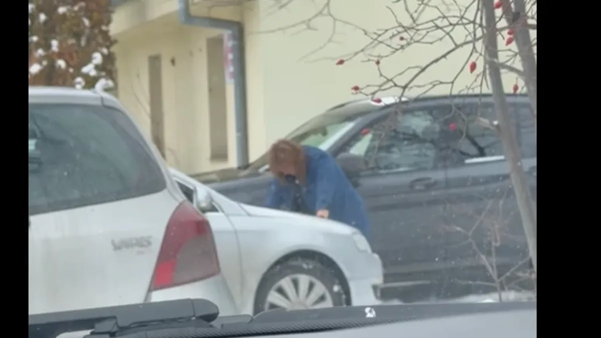 Заснеха грозна сцена пред столична болница! Жена чупи... ВИДЕО