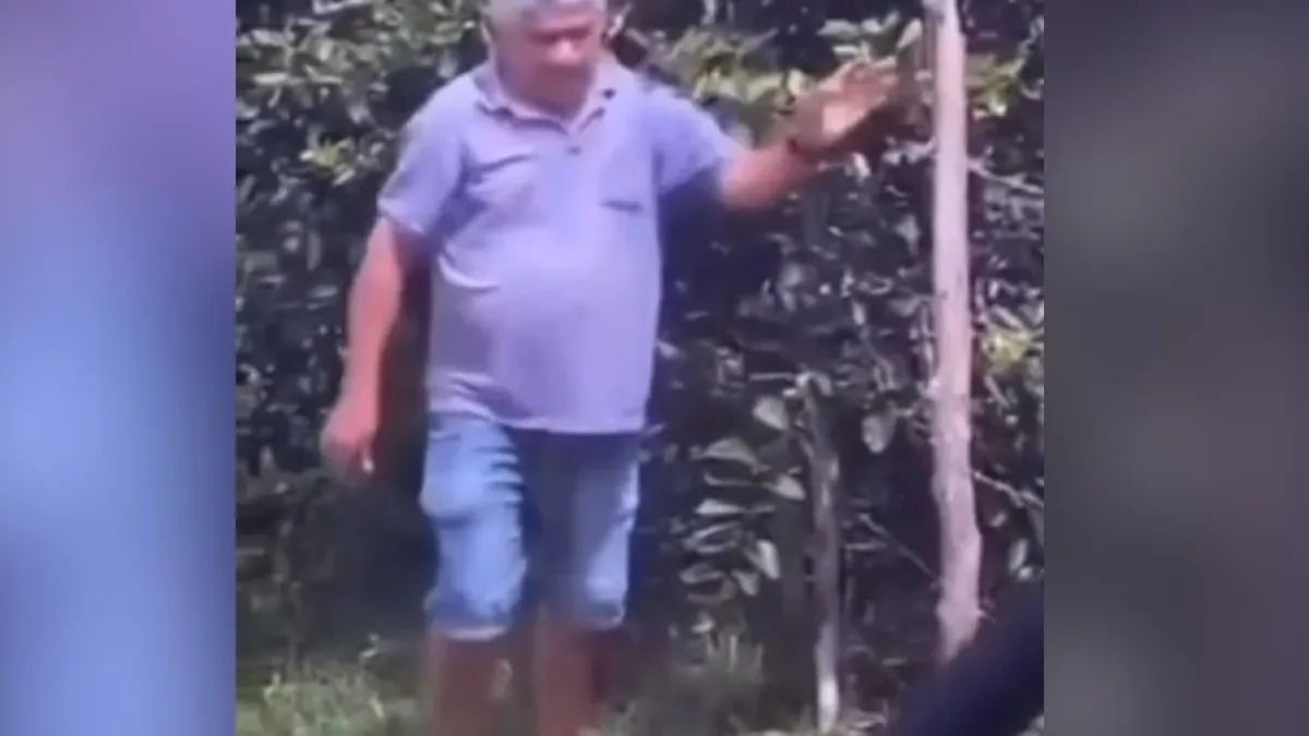 ВИДЕО запечата как политик бе смъртоносно нападнат от стотици пчели