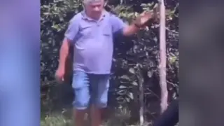 ВИДЕО запечата как политик бе смъртоносно нападнат от стотици пчели