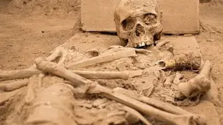 Куфар с човешки скелет откриха край пътя в топ туристическа дестинация
