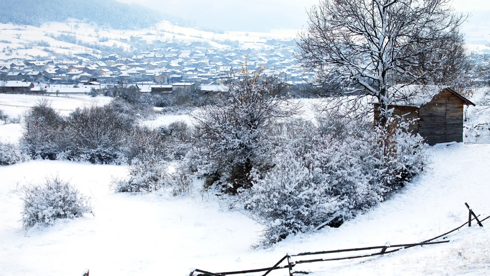 Не Коледа, а Годишовден: в този български край празниците са особени
