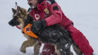 Ужас на Витоша! Мъж видя смъртта в очите, а спасителите...