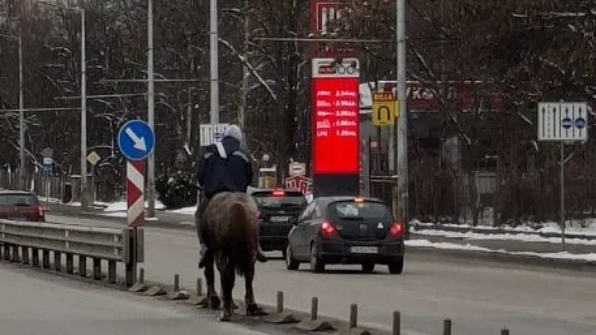 София му е Дивият Запад! Мъж шпори с кон на голям булевард СНИМКА