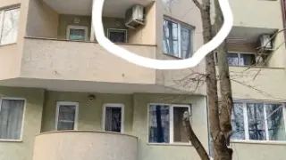 Вентилатор виси седми месец от дърво в София СНИМКА