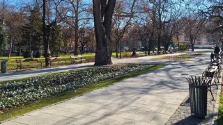 Дядо вилнее с мачете в Пловдив! Заплашва майки и безцеремонно окраде... ВИДЕО и СНИМКИ 18+