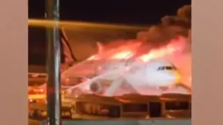 Кошмарно дежа вю: Самолет със 179 души се запали в Южна Корея ВИДЕО